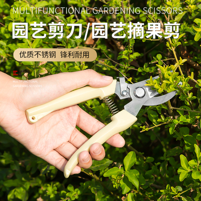 scissors Pruning Fruit tree Pruning gardening gardens Squid Household Scissors Cut flowers Pruning shears