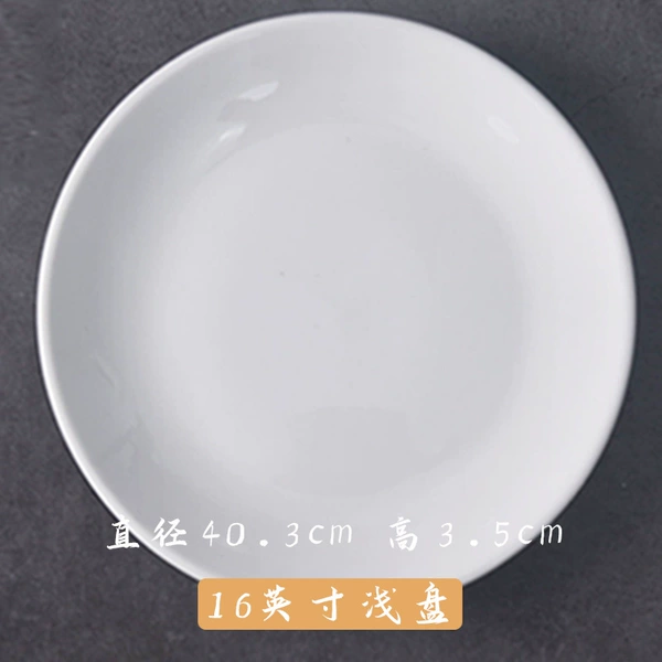16 -inch shallow disk