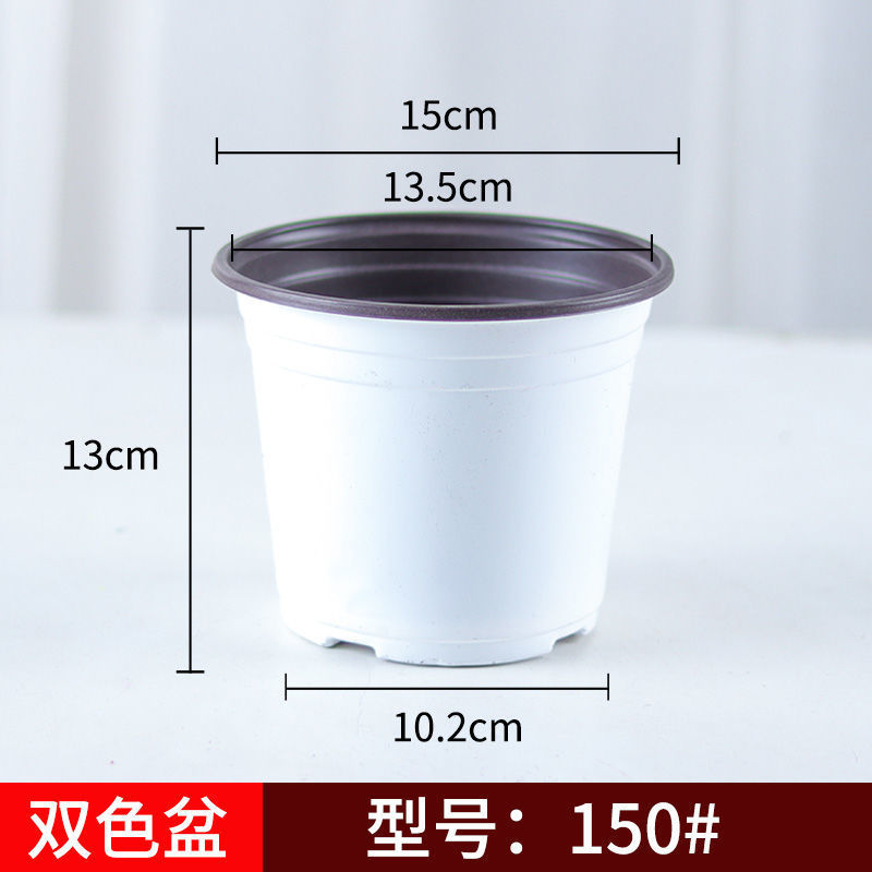 150 model white 50 pcs