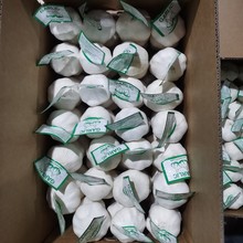 ɽ�|�tƤ���� ��샦��؛Դ����Դ�^���S�ӹ����l�Ԯa���N�ԷN