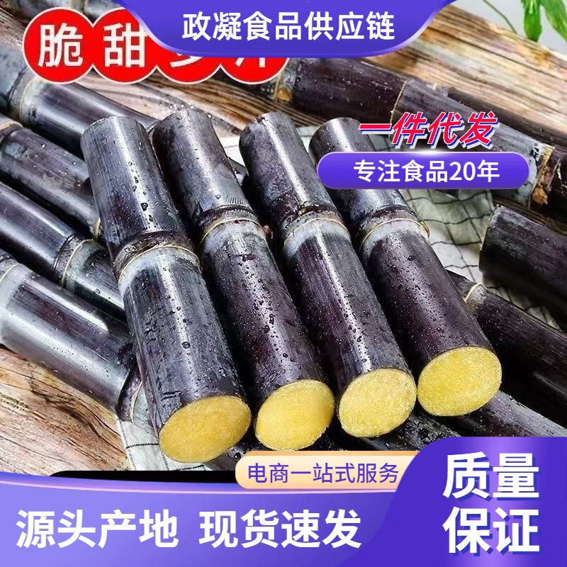 Guangxi Black-Skin Sugar Cane Is Crispy, Sweet, and Juicy, a Fresh Seasonal Fruit, Directly from the Farm, a Specialty Sweet Cane Fruit Juice Guangxi Black-Skin Sugar Cane Is Crispy, Sweet, and Juicy, a Fresh Seasonal Fruit, Directly from the Farm, a Specialty Sweet Cane Fruit Juice