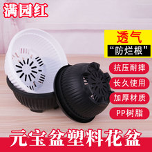 Ԫ�������ϻ������������������È@ˇ�Gֲ����Ӻ�͸���֬����