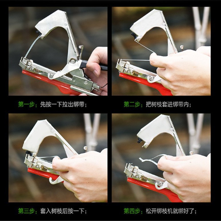 2024-11-18 16:20:31.jpg