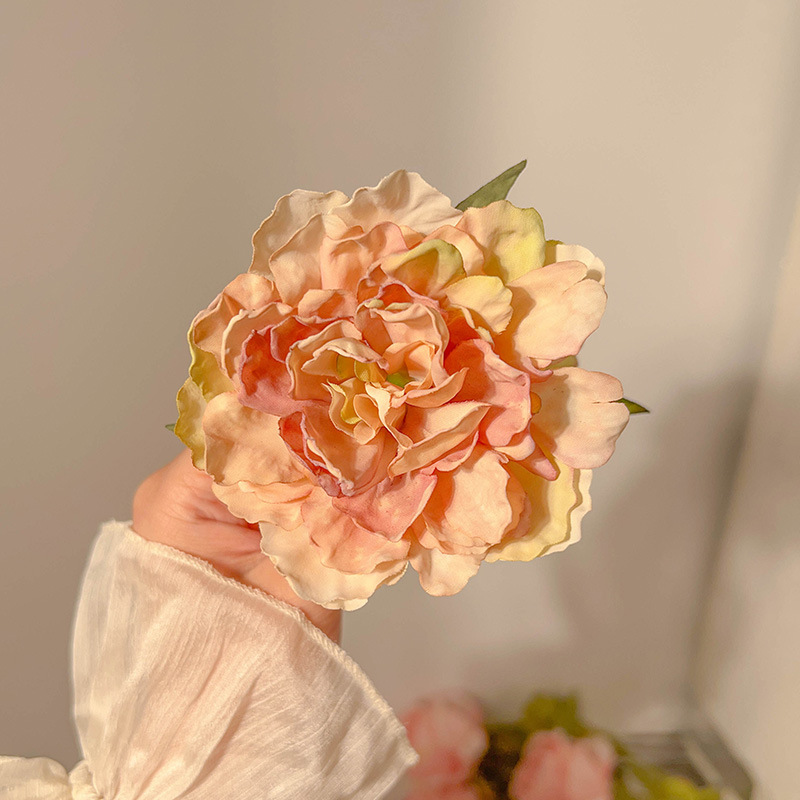 乾燥したバラはフランスの花を挟んで髪を挟みます。|undefined