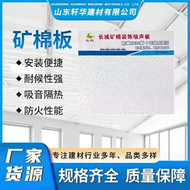 矿棉板;轻钢龙骨;隔音材料