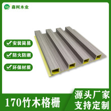 170*20*3000mmˮľܸľwSLǰ͏d Sl