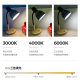 Nordic simple modern desk lamp led eye protection desk college dormitory reading bedside ins wind small desk lamp cross-border