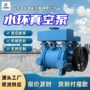 广泛性价比水环环式真空泵