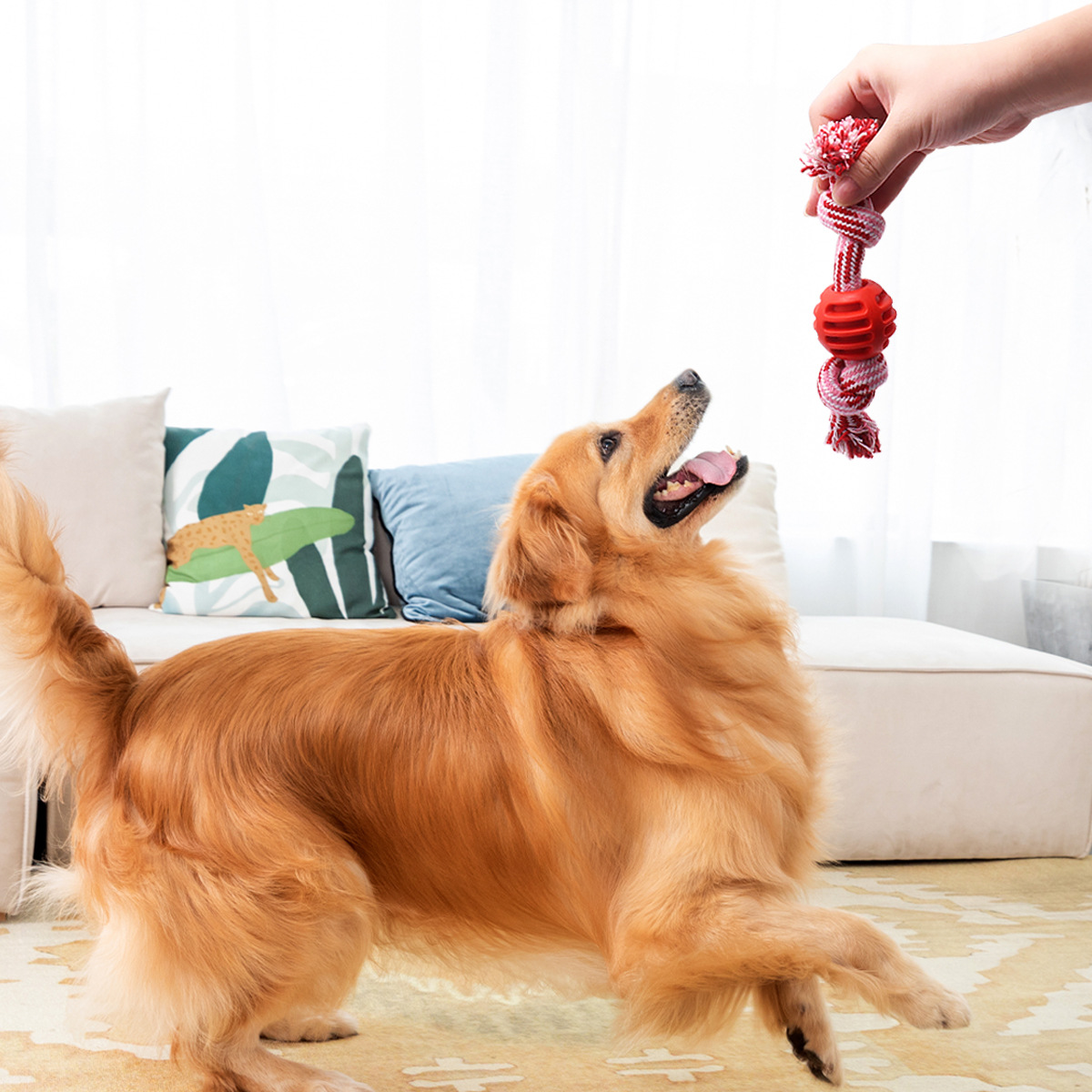 Cordón de algodón para mascotas, juguetes para perros, bolas resistentes a la mordida, juguetes para perros, juguetes para mascotas al por mayor.