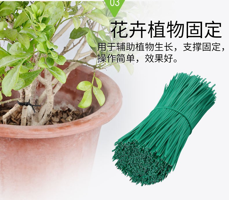 15996549015_1794298891