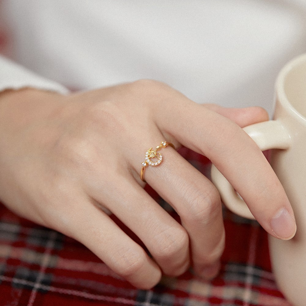 Fashion Moon Sterling Silver Inlay Zircon Rings