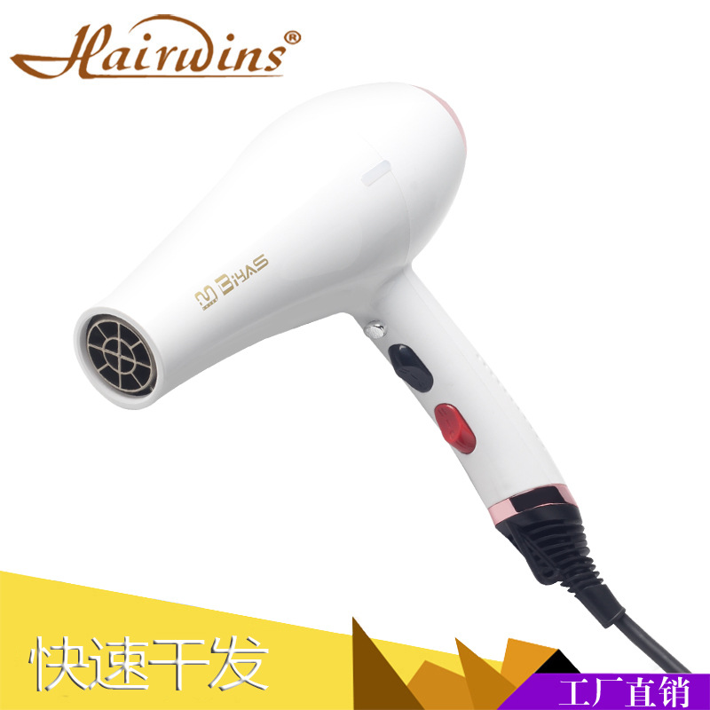 크로스 보더 살롱 전문 고출력 냉기 및 열풍 다기능 헤어 드라이어 음이온 헤어 드라이어 세대