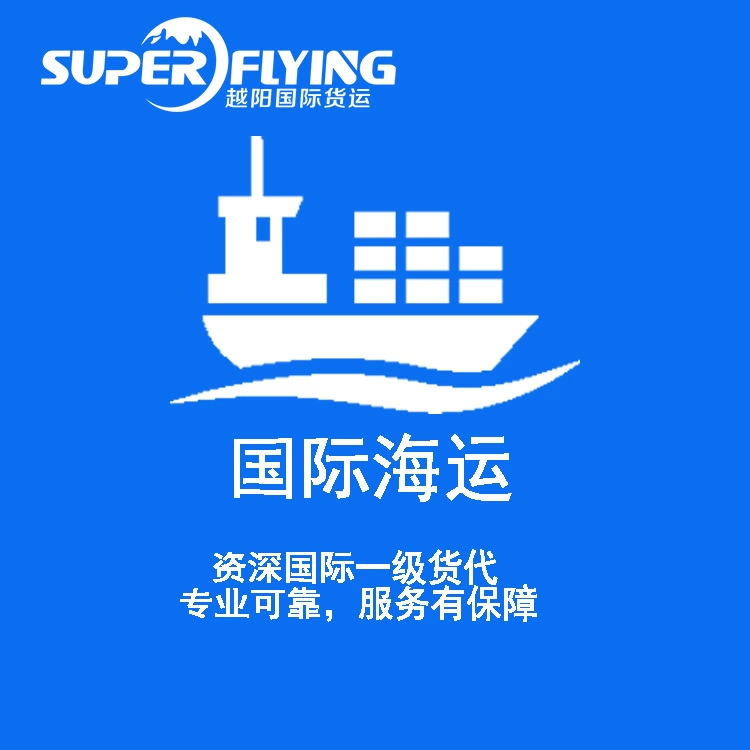 Международная доставка из Гуанчжоу Наньша, Шэньчжэнь Янтянь, Шекоу в Юго-Восточную Азию, прямые суда 20GP/40HQ