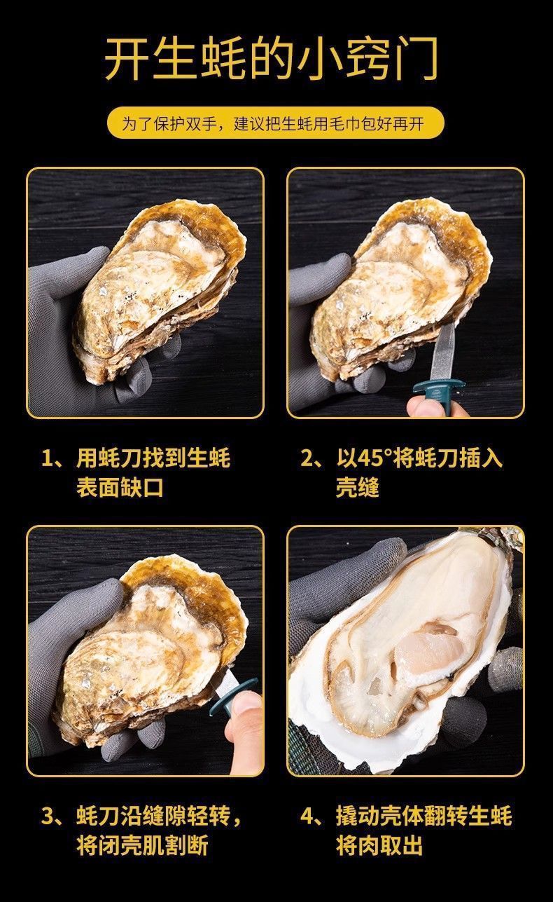 顺丰发货鲜活生蚝新鲜特大海蛎子牡蛎刺身鲜活即食特大号-阿里巴巴