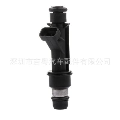 25323972 25323971 Oil pump, nozzle
