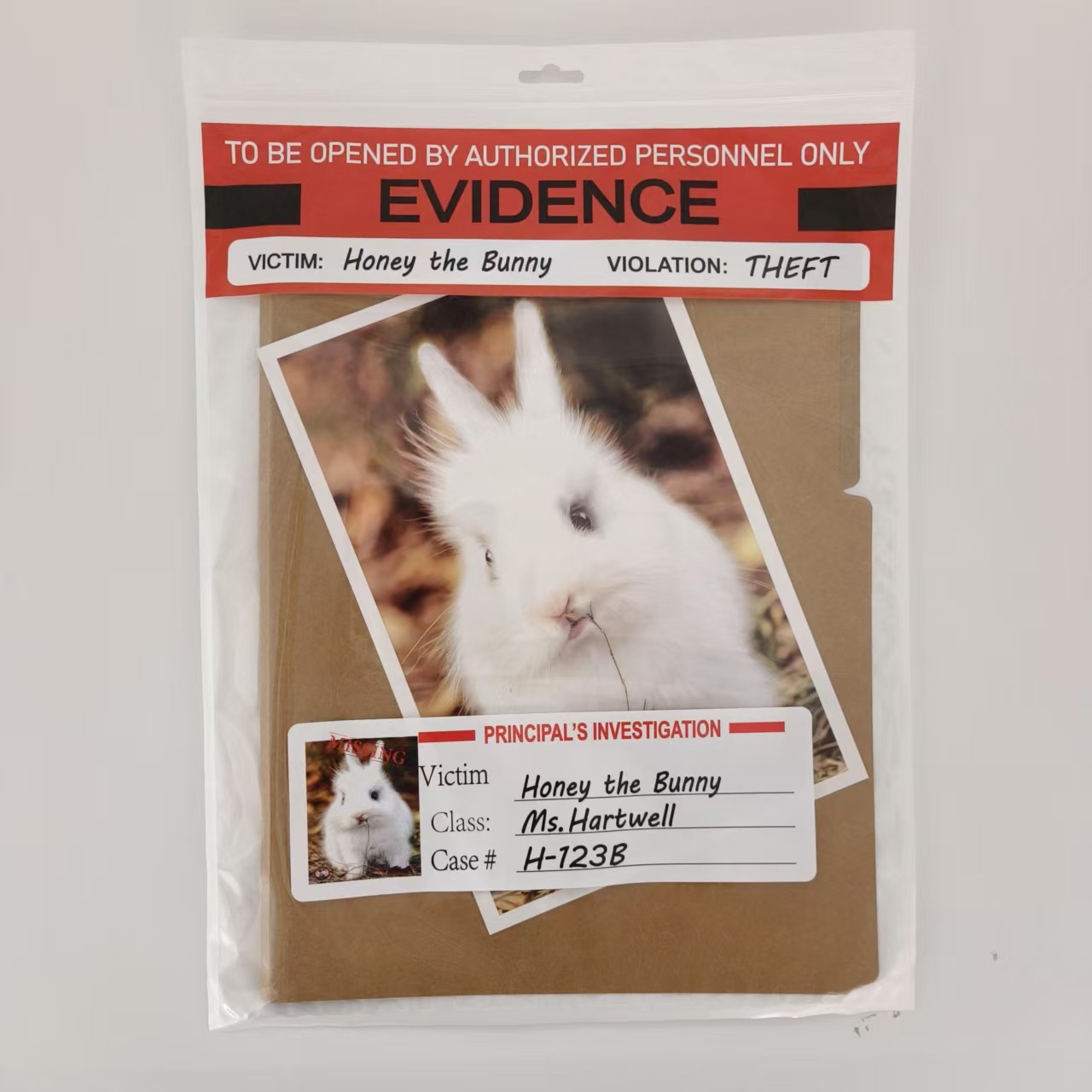 Unsolved Case Files Honey The Bunny The mysterious case used by the…