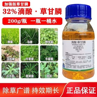 32.4%����ݸ�좳��݄��������@�ĵ��s����Ʒ�rș��