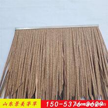 �������lé�� ����é�� PE����é�� ������ ����ë��