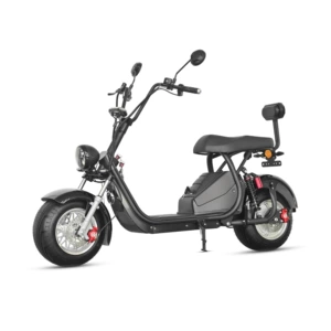 Avropa EEC böyüklər üçün iki təkərli Harley elektrikli avtomobil CP5.1