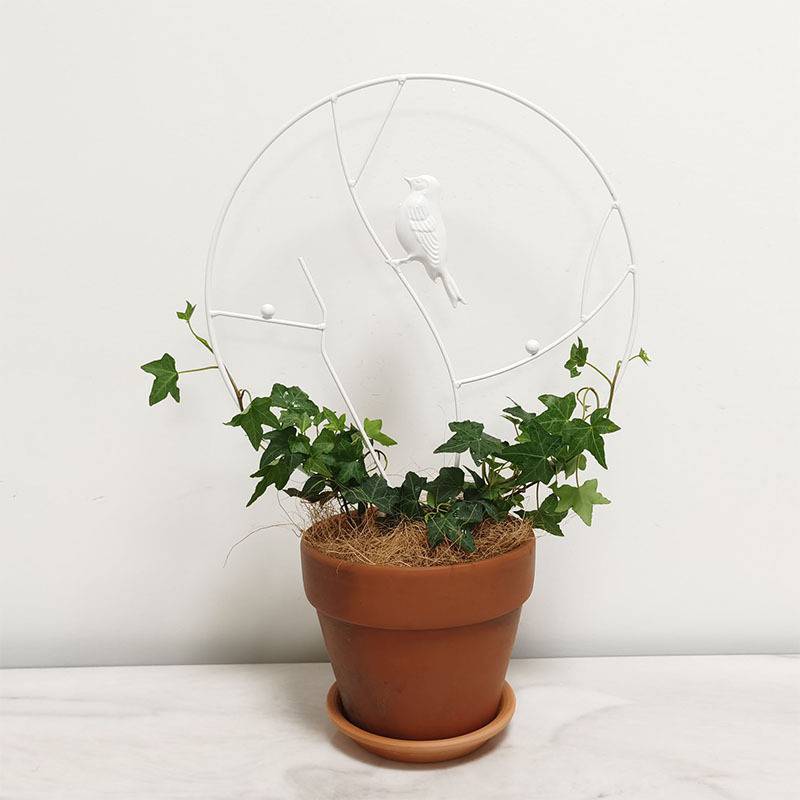 폭발 업그레이드 화이트 버드 직경 30cm