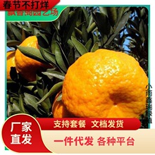 һ�����l����ո̘�̨��85-1���͗ո���o�����̼޽��J�̽��Ә���