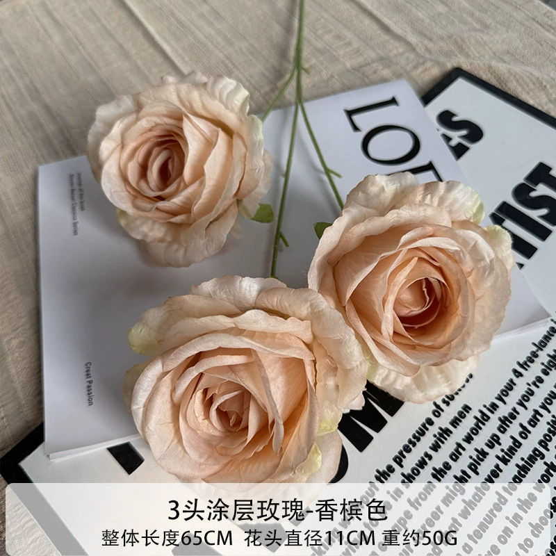 Rosa-Champanhe Revestido