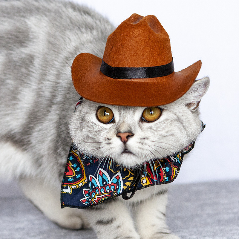 Cross-border New Pet Cat Dog Western Cowboy Hat Mini Cowboy Hat Photo Props Party Supplies