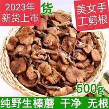 23年榛蘑500g东北野生蘑菇干山货珍品蘑菇干丁小鸡炖蘑菇用的榛蘑