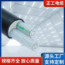 YJLV22-0.6/1kV電力電纜2芯 鎧裝鋁電纜低壓力鋁芯電纜批發