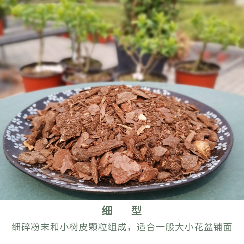 소나무 비늘껍질 얇은형 5L (정가 19.8위안)