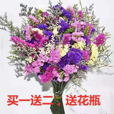 [Buy 1, send 1]Forget me not Gypsophila Dried flowers Bouquet of flowers Home Furnishing Decorative flowers flower wholesale flower arrangement a living room Bouquet of flowers