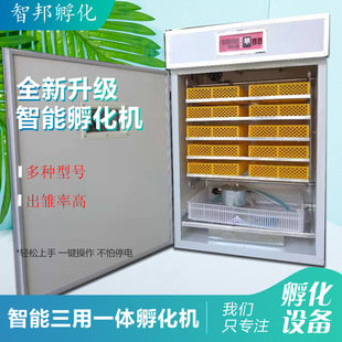 880��С���u���Z���B��ȸ��������������С�u�����������Cȫ�Ԅ�