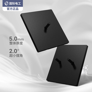 TEP International Electrician Retro Socket Antique Black Paddle 86 Double Control Light Switch One Lamp Hotel Insert