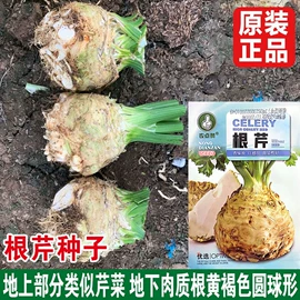 蔬菜种子;其他农业