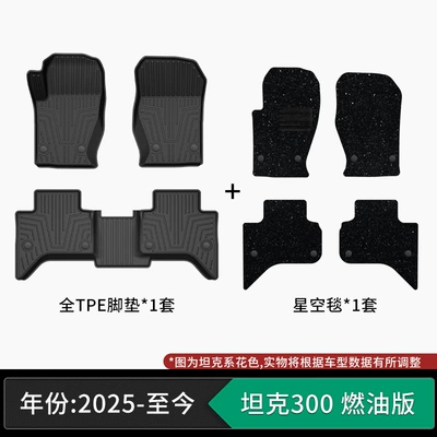 made of eco-friendly material, car-grade – Modelə uyğun ayaqaltı - 25-present-model-tank-300-gasoline-version-tpe-floor-mats-starry-sky-carpet
