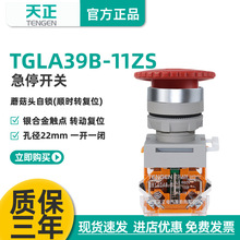 TENGEN TGLA39B-11ZSͣo iĢ^oֹͣ_PTGLA38