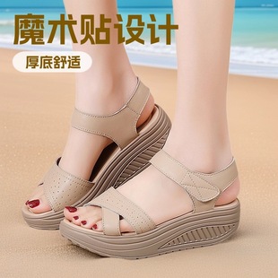 ���ɳ����Ь��Ƥ�����ļ�ħ�g�N����ܛ���������m�ٴ�ŮЬ��ĥ�_