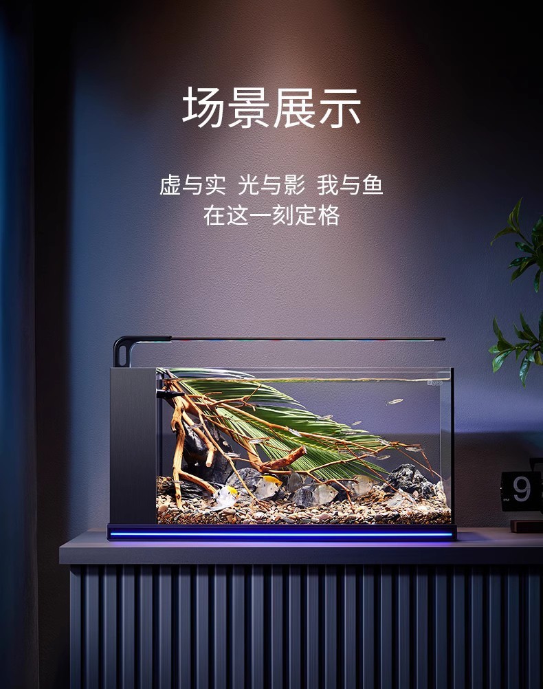 鄂尔多斯那达慕