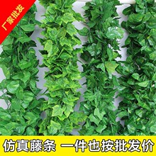 �������ֲ�ﳣ���ٗl �ع��~�����ڒ��b�2.1��72�~��c��ɽ����