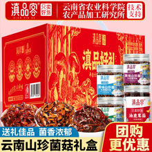 滇品客云南特产油鸡枞酱即食下饭菜油炸鸡枞菌菇干牛肝菌零食礼盒