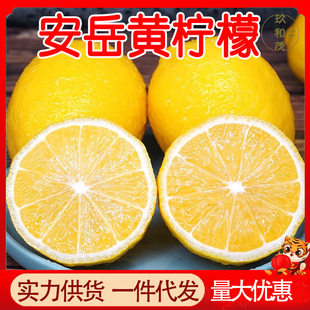 �Ĵ������S����5�����rƤ��������ˮ�������F؛���l���S�����S�C
