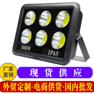 跨境led投光灯户外防水泛光灯100W大功率 草坪庭院聚光投射广告灯详情9