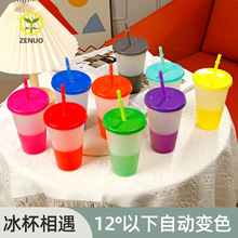 20007  厂家直销480ml吸管创意塑料变色杯 感温吸管塑料变色杯