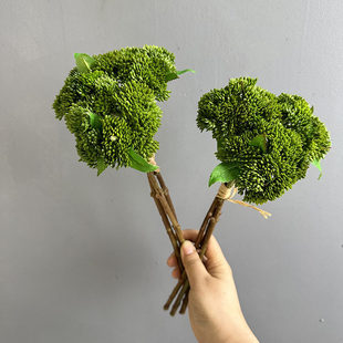 [软胶菜花软胶果多肉植物拍摄道具花菜家居装饰米粒果仿真花]