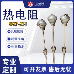bʽWZP-231߾PT100ضȂ̶ݼyBӷˮ