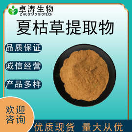 夏枯草提取物30:1 夏枯草浓缩粉原料 批发包邮 量大优惠 卓涛生物
