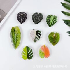 熱植葉エポキシ樹脂滴下フィルムアクリル滴下フィルム冷蔵庫マグネット携帯電話エアバッグホルダーシート