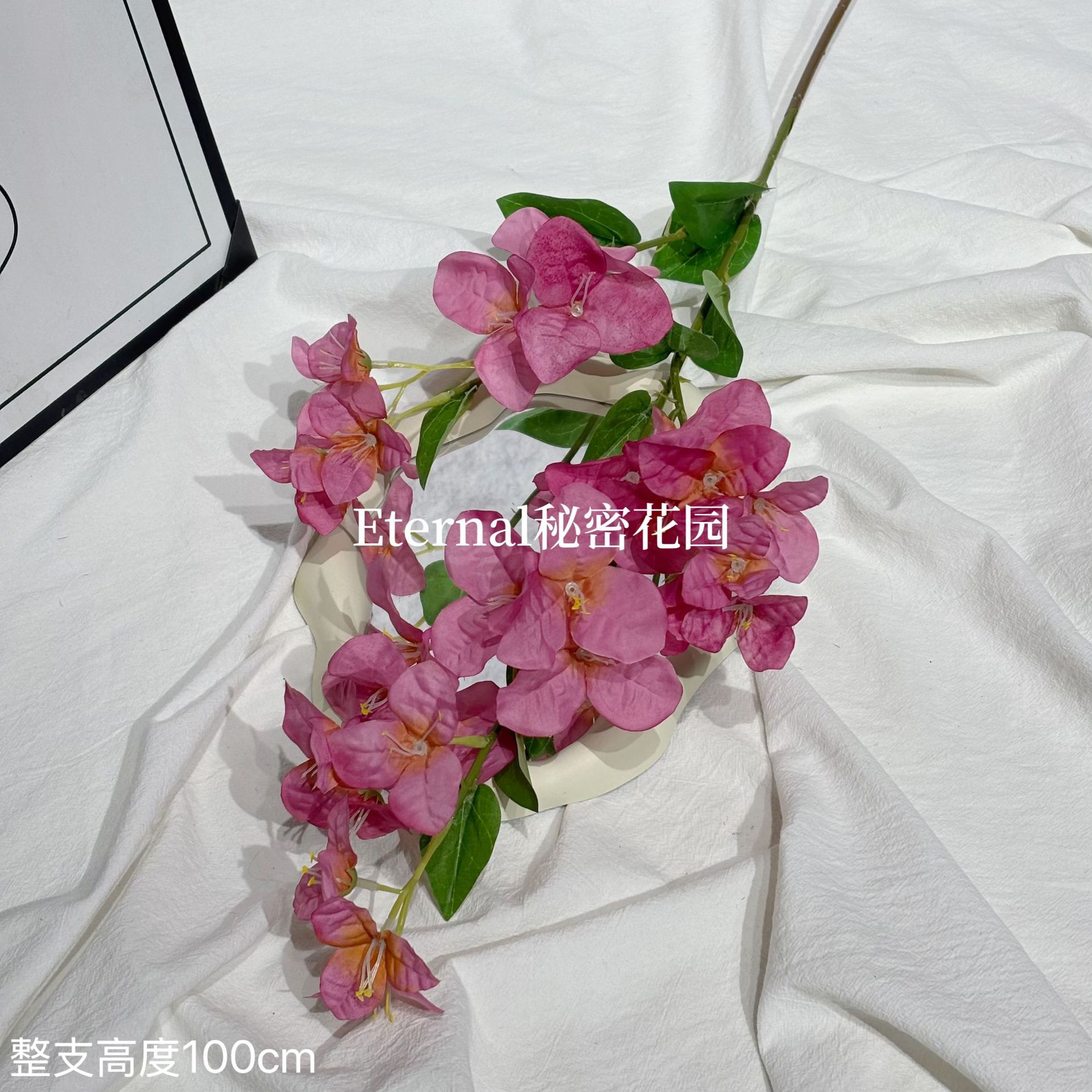 부겐빌레아 로즈 레드