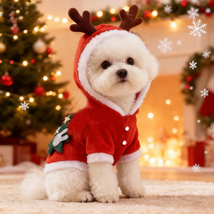 ����С�����}�Qϵ�нq���＾������ů�·�����̩�ϲ���؈؈�䶬��