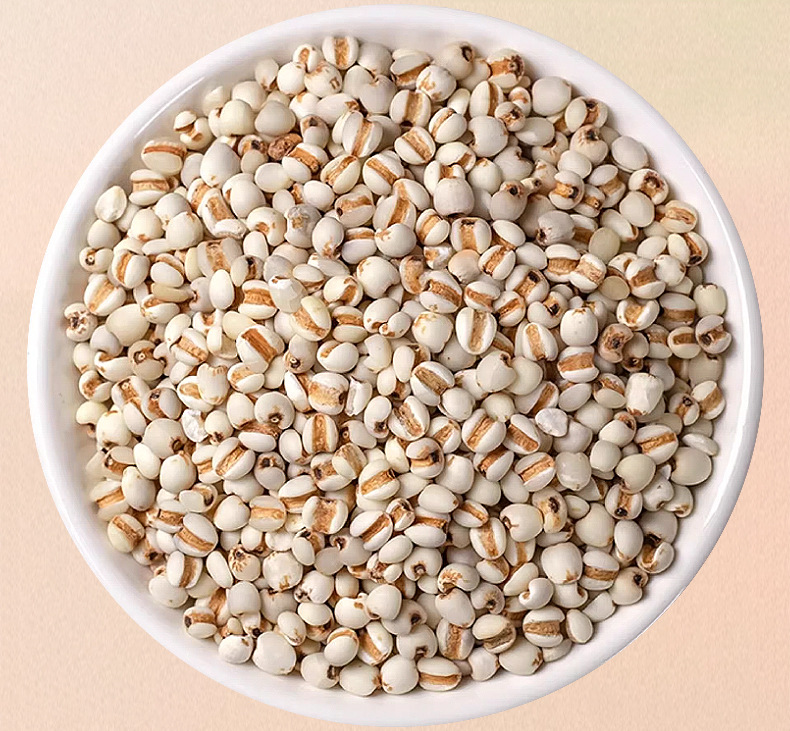 Coix Seed Yi Yi Ren 500g Dried Job's Tears Herbal Tea Ingredient Guizhou New Crop key features
